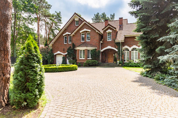 Best Driveway Paving Contractor  in Ferguson, MO